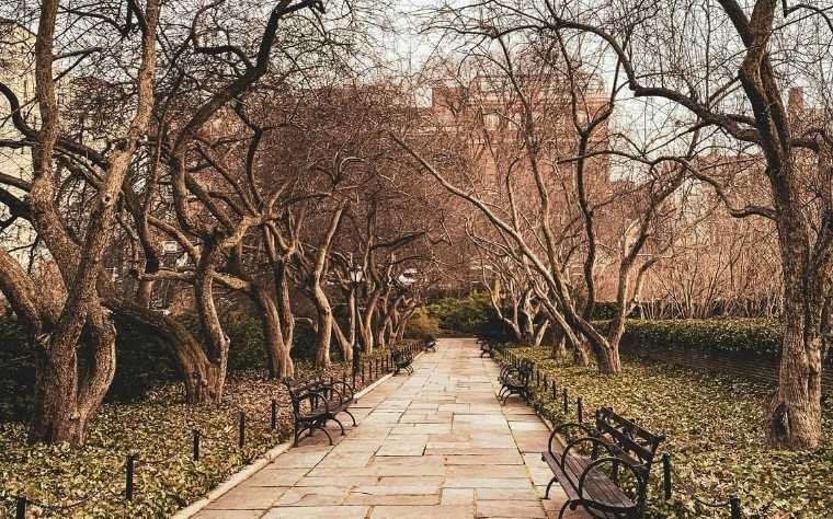 nova york outono central park