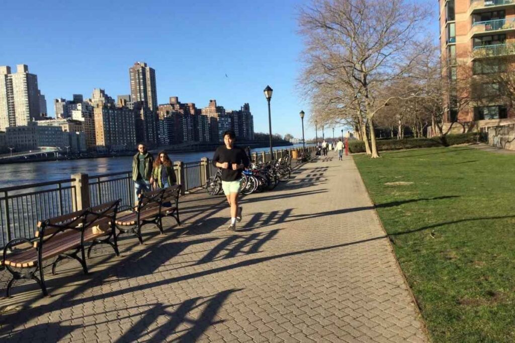 Roosevelt Island , Nova York, no verão