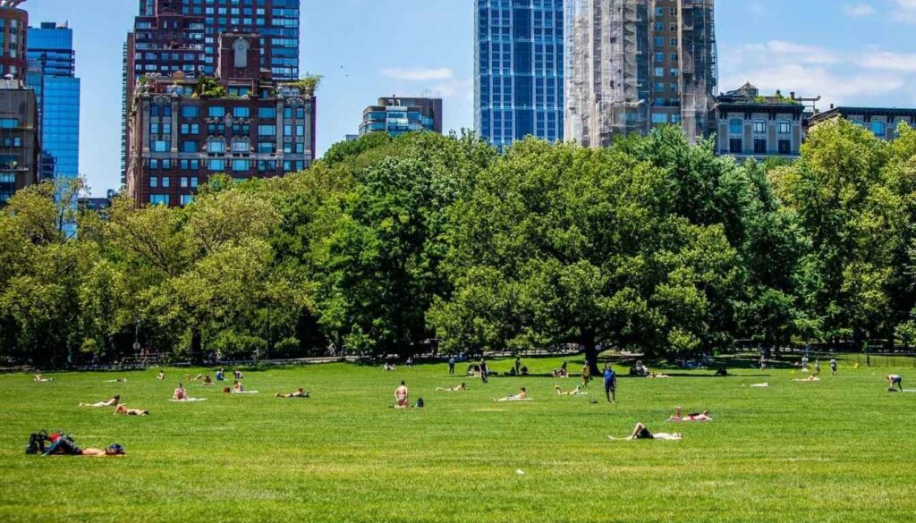 O Sheep Meadow é um dos lugares preferidos para fazer um Piquenique no Central Park