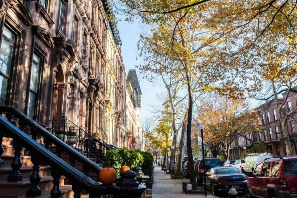 Rua arborizada em Harlem, Nova York, com prédios clássicos, pessoas caminhando e murais coloridos.