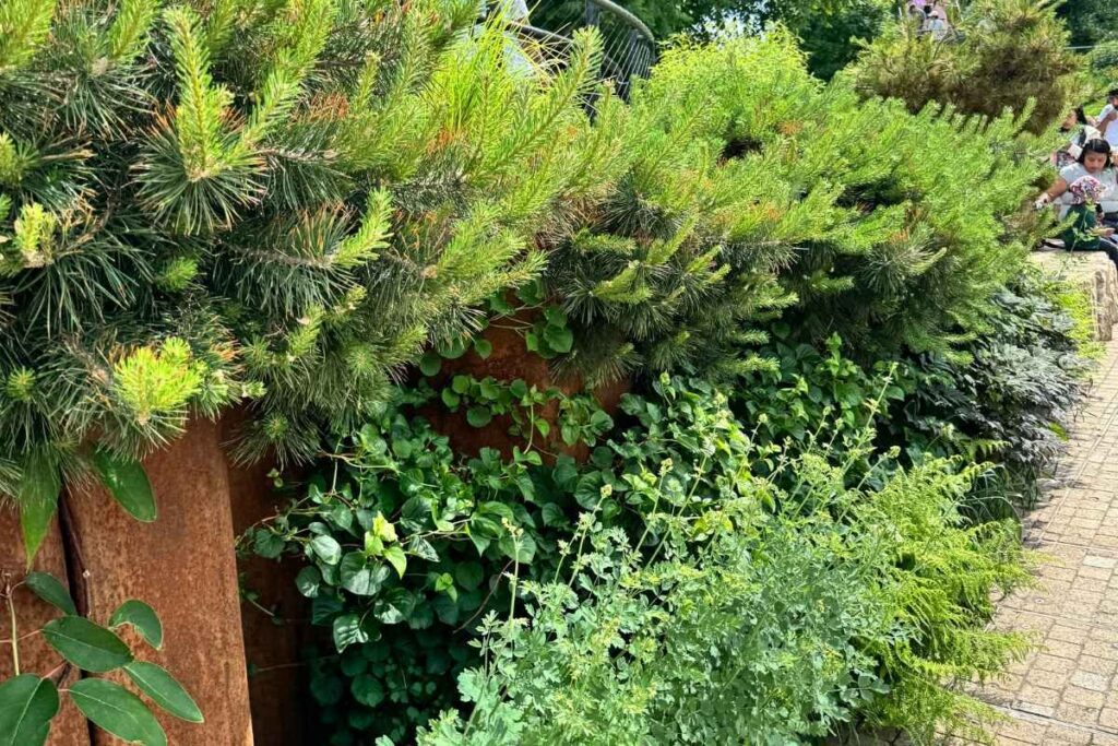 Jardins e trilha em Little Island