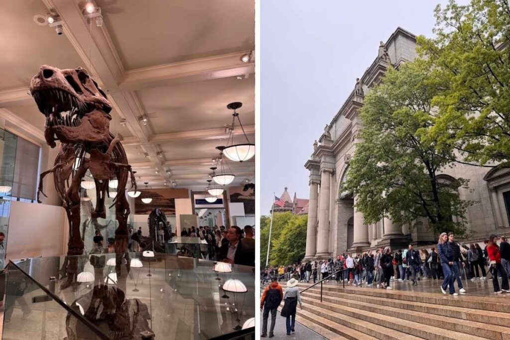 montagem de fotos do Museu Americano de História Natural. à direita, o famos T-Rex na sala dos dinossauros, e a esquerda vista externa do museu. fotos autorais