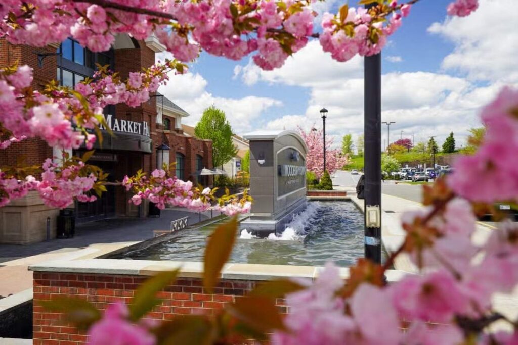 infraestrutura e comida no woodbury outlet