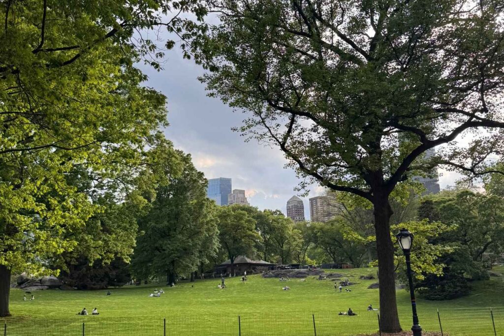 Central Park é o maior parque urbano de Nova York - foto autoral